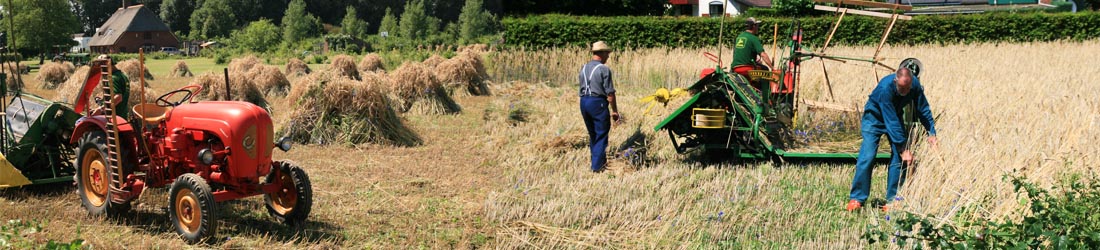 Dorpsraad Ooij